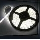 LED Flexible Strips (5 m) - mata kecil