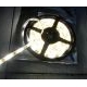 LED Flexible Strips Hiled (5 m)