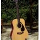 costum fg310c
