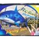Air Swimmer