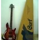 Gitar Bass