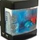 Aquarium Mini
