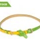 Korean fashion two candy color matching thin belt (Green)