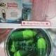 BODY SLIM HERBAL (BSH)