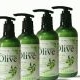 SHAMPOO OLIVE